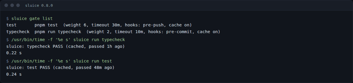 sluice gate list and two sluice run answered from the cache: typecheck in 0.22 s and test in 0.24 s