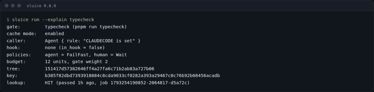 sluice run –explain typecheck: the git tree, the cache key and a HIT from an hour ago